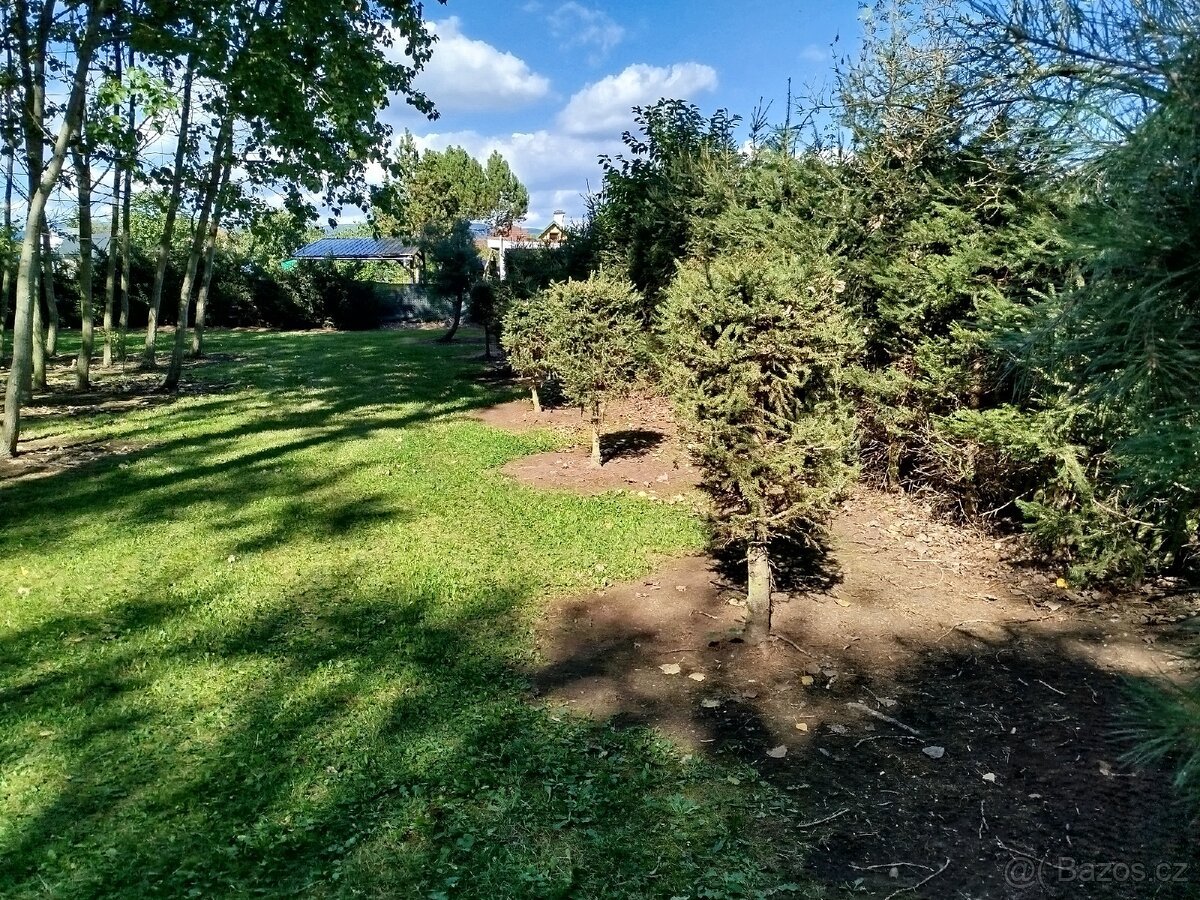 Prodám stavební pozemek 3500m2.