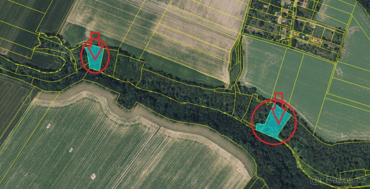 Prodej lesních pozemků k.ú. Velké Všelisy