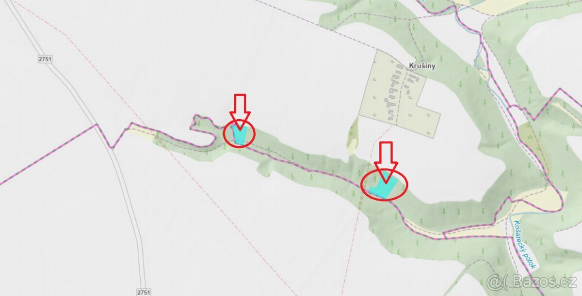 Prodej lesních pozemků k.ú. Velké Všelisy