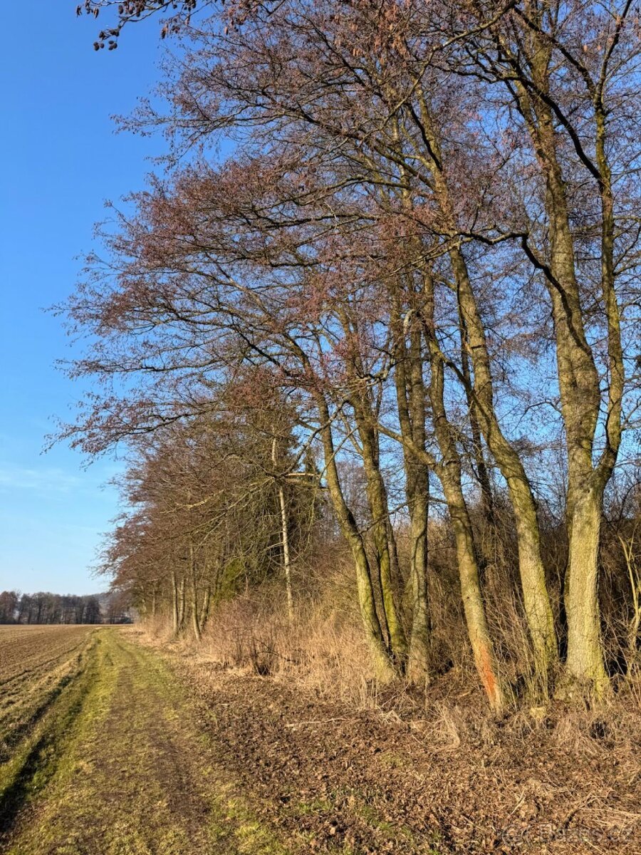 Prodej pozemků k.ú. Nový Malín