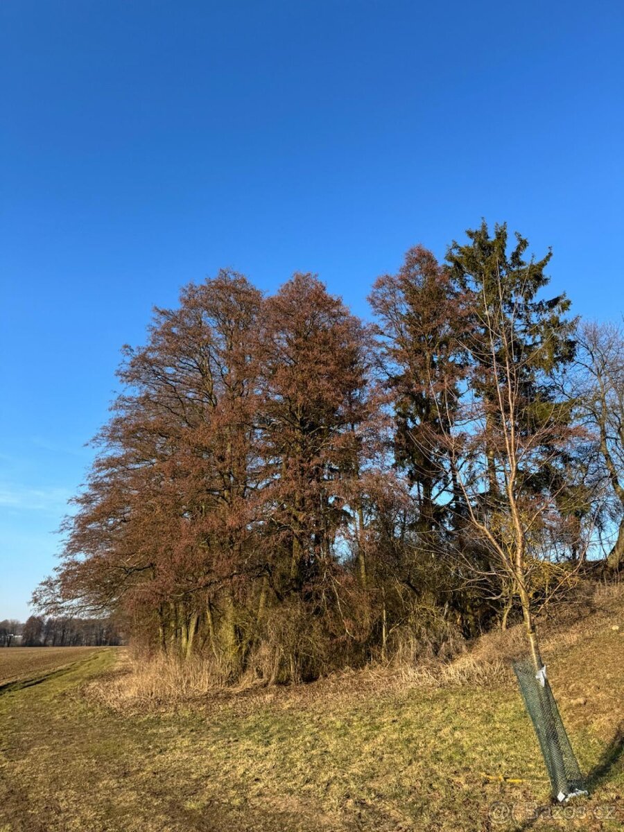 Prodej pozemků k.ú. Nový Malín