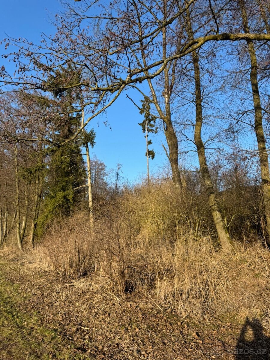 Prodej pozemků k.ú. Nový Malín