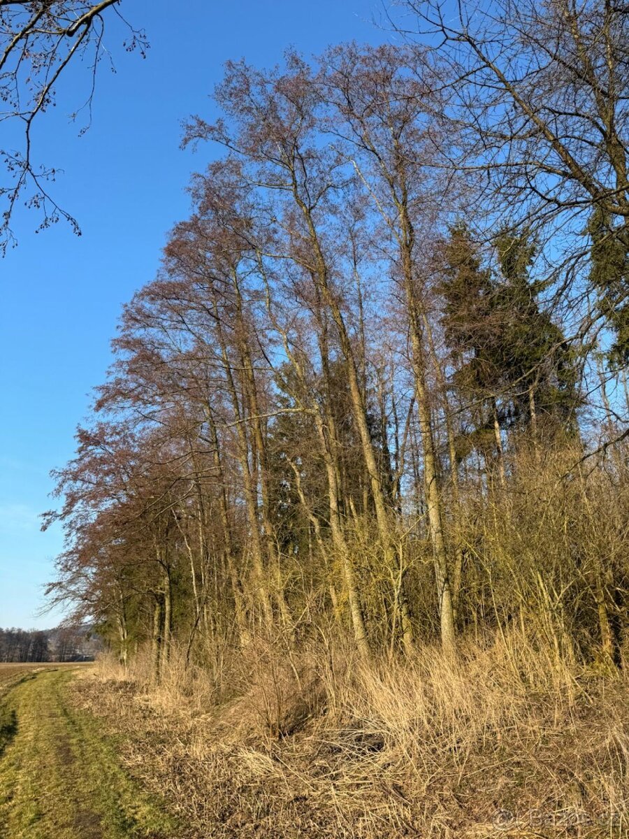 Prodej pozemků k.ú. Nový Malín