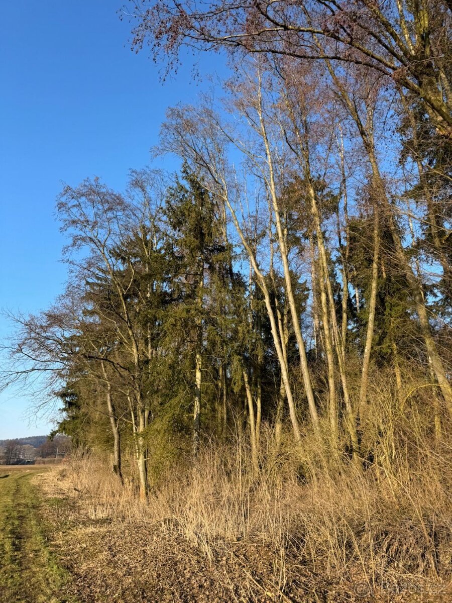 Prodej pozemků k.ú. Nový Malín