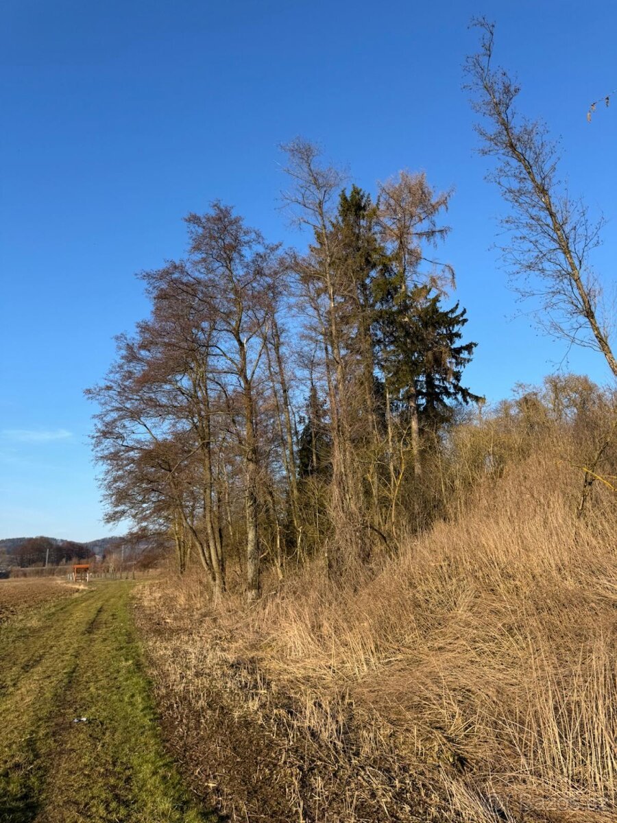 Prodej pozemků k.ú. Nový Malín