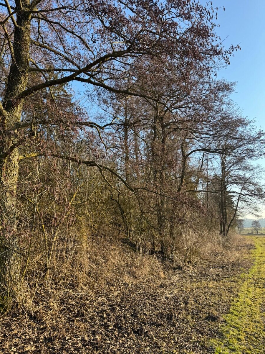 Prodej pozemků k.ú. Nový Malín