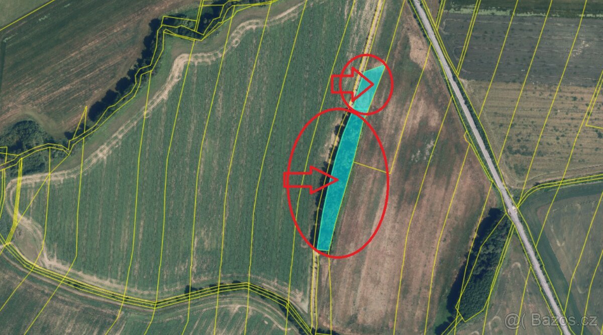 Prodej pozemků k.ú. Nový Malín