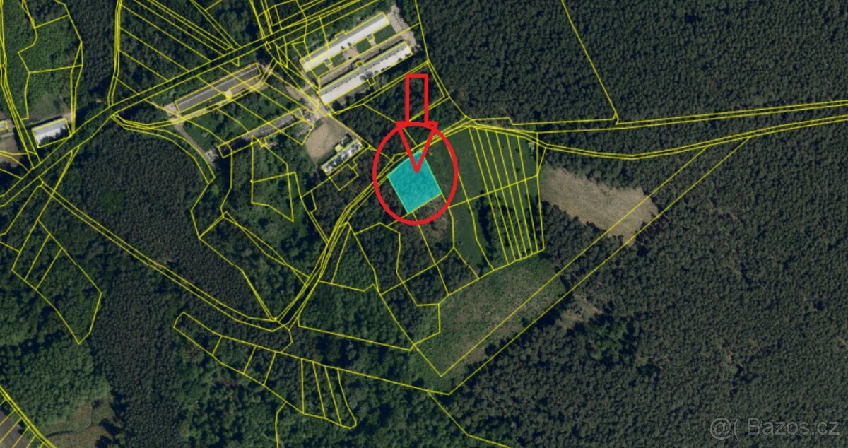 Prodej lesních pozemků k.ú. Vracov