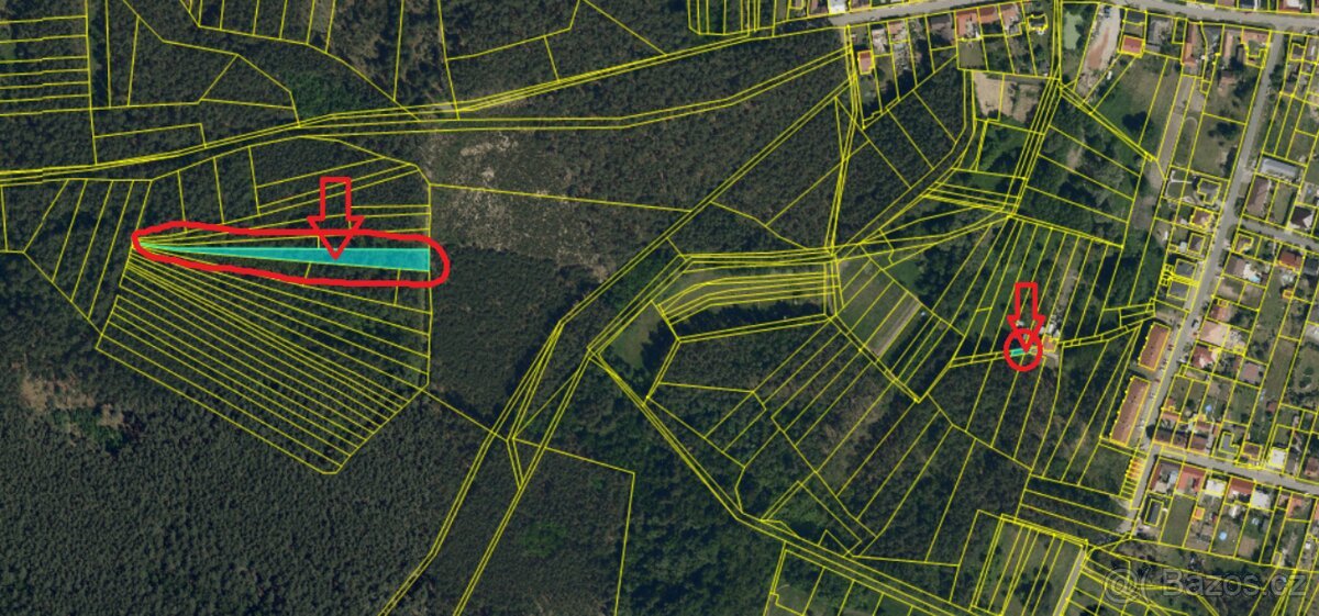 Prodej lesních pozemků k.ú. Vracov