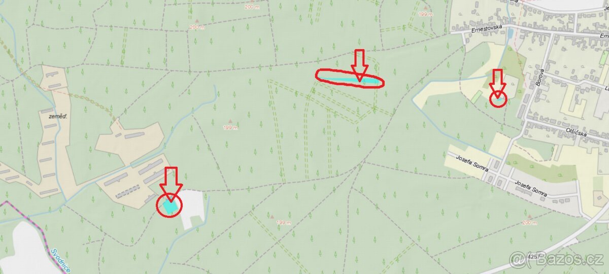 Prodej lesních pozemků k.ú. Vracov