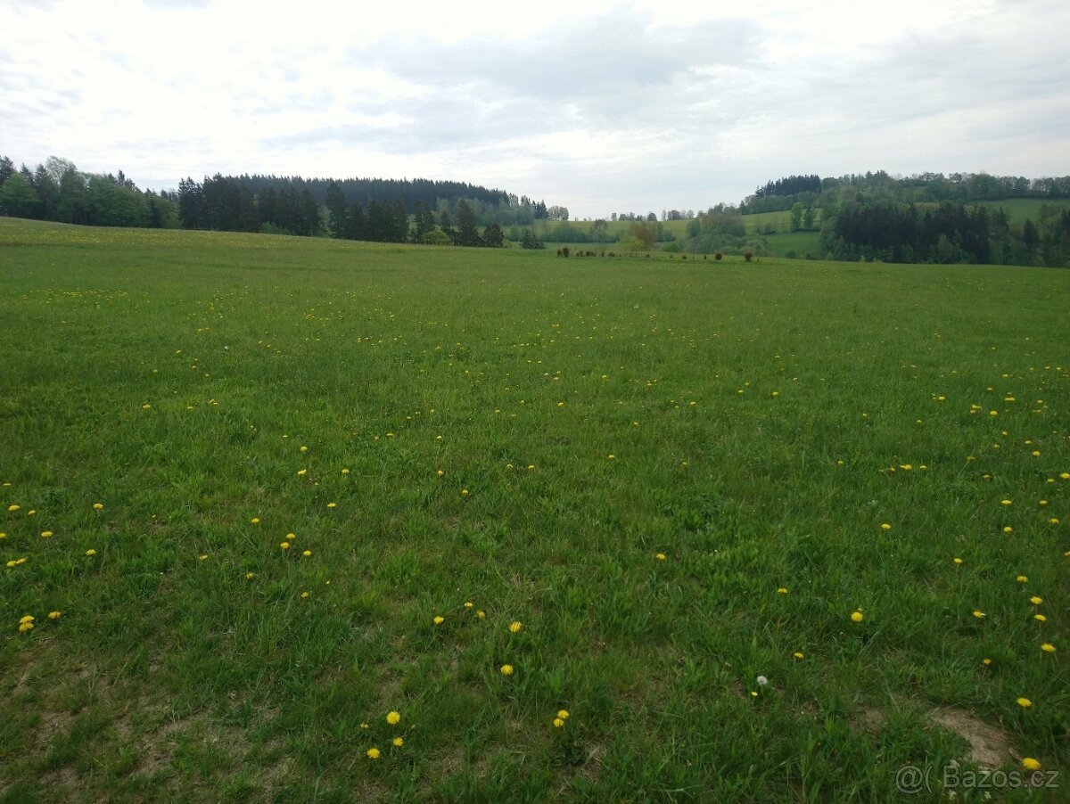 Zemědělské pozemky 5,6 hektarů louka Jilemnice Krkonoše