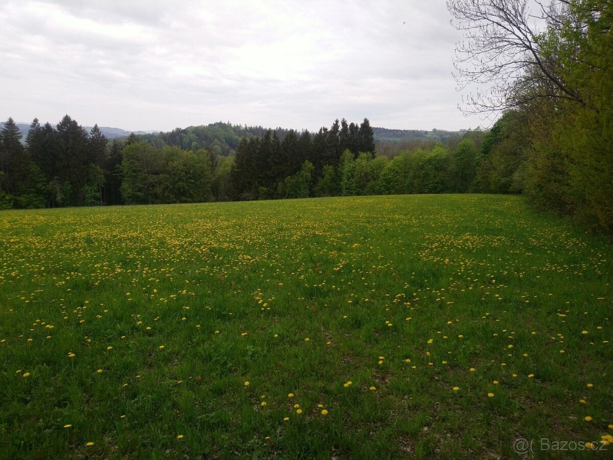 Zemědělské pozemky 5,6 hektarů louka Jilemnice Krkonoše