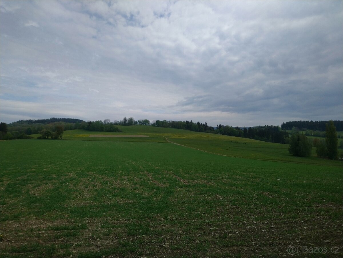 Zemědělské pozemky 5,6 hektarů louka Jilemnice Krkonoše