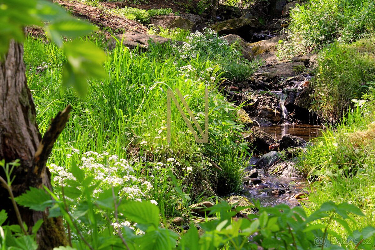 Prodej, pozemek, 3 411m², Nezdice na Šumavě, okres Klatovy, 