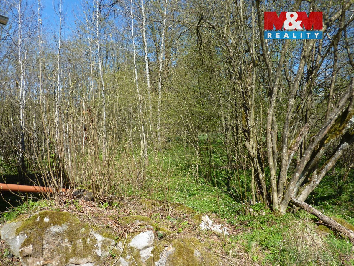 Prodej pozemku k bydlení,1453 m², Brzice, Běluň, Kohoutov