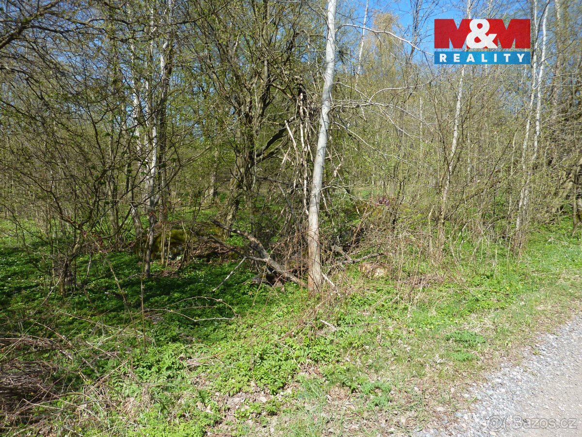 Prodej pozemku k bydlení,1453 m², Brzice, Běluň, Kohoutov
