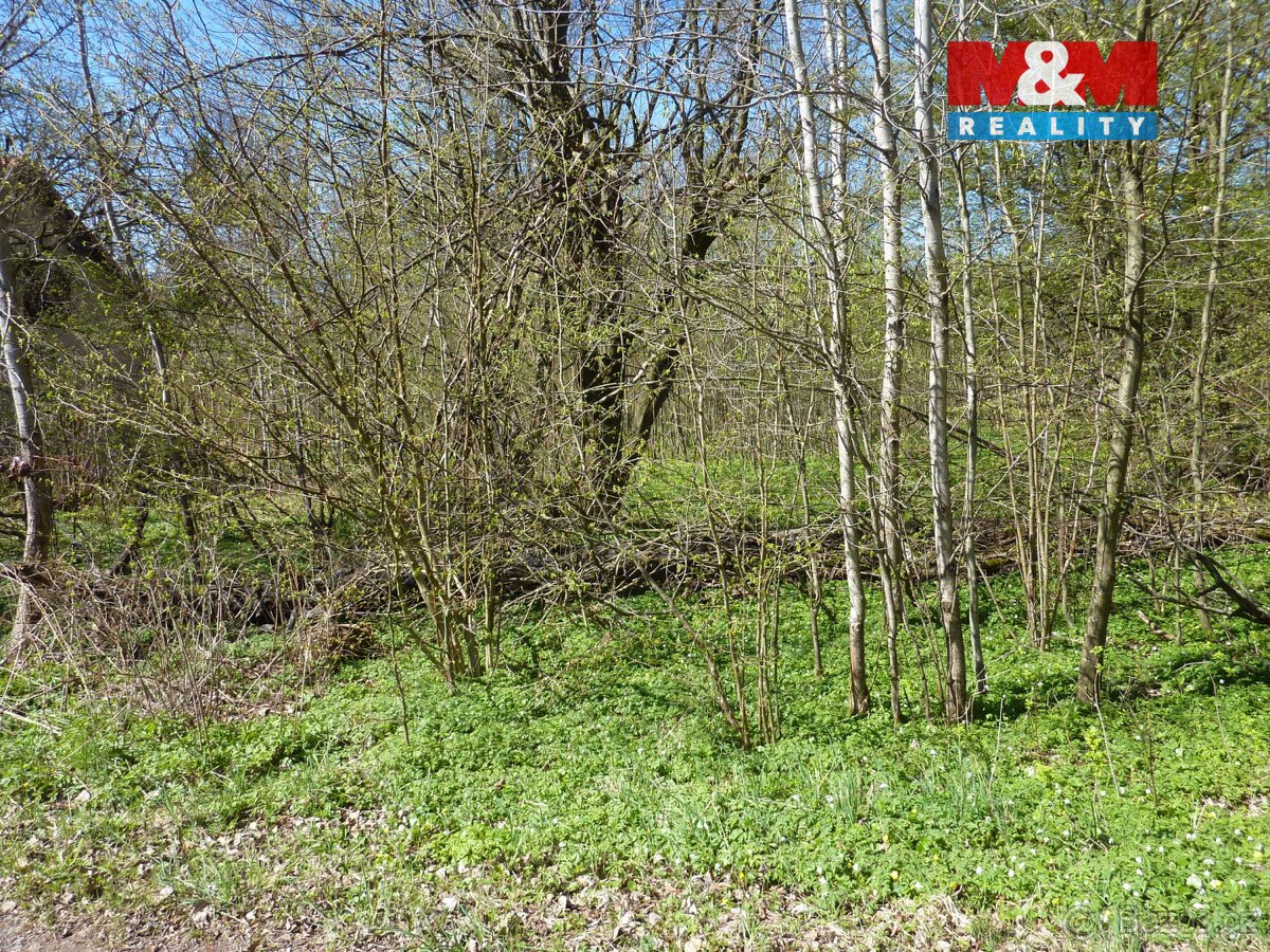 Prodej pozemku k bydlení,1453 m², Brzice, Běluň, Kohoutov