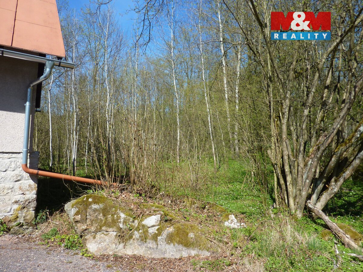 Prodej pozemku k bydlení,1453 m², Brzice, Běluň, Kohoutov