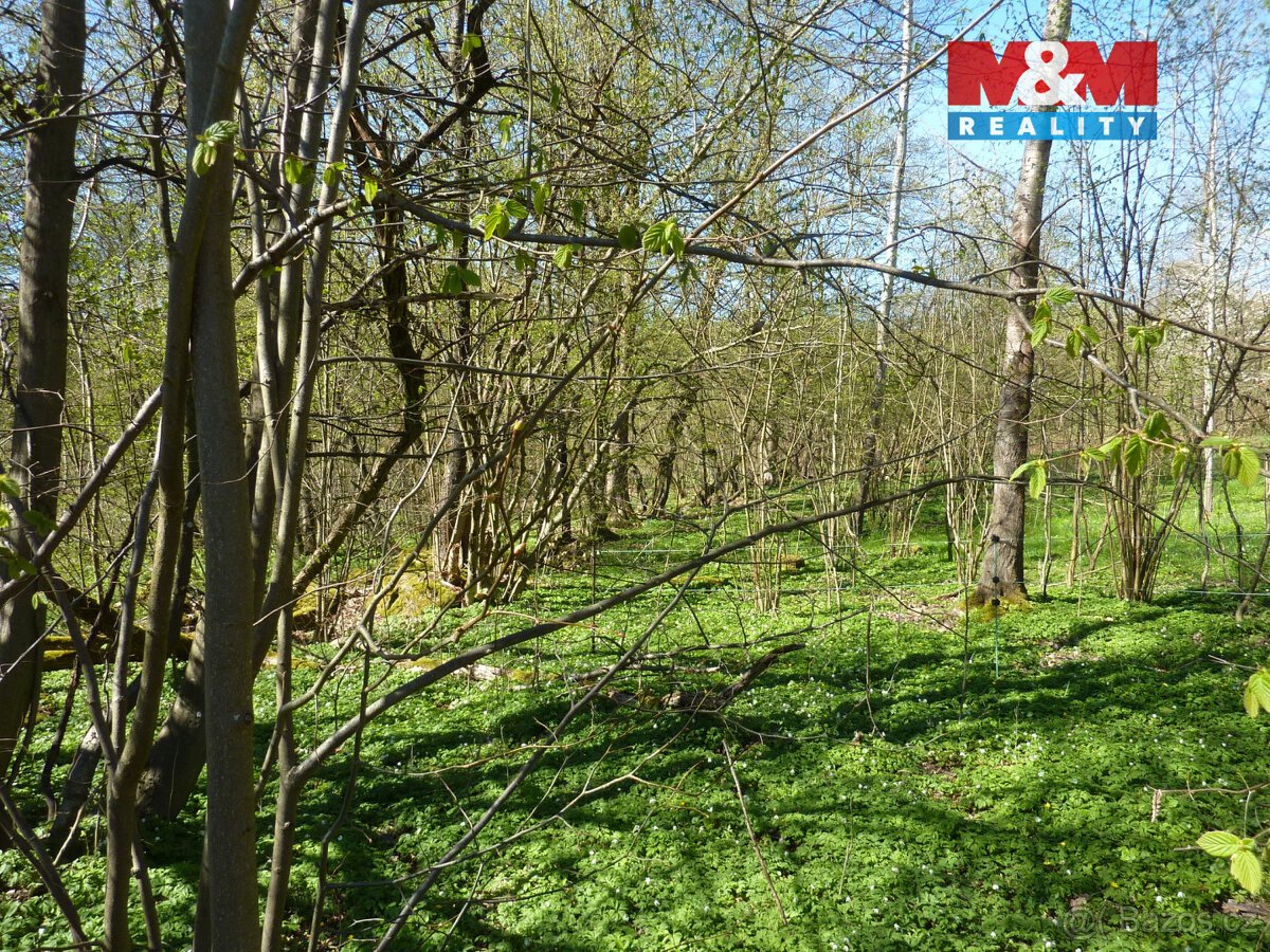 Prodej pozemku k bydlení,1453 m², Brzice, Běluň, Kohoutov