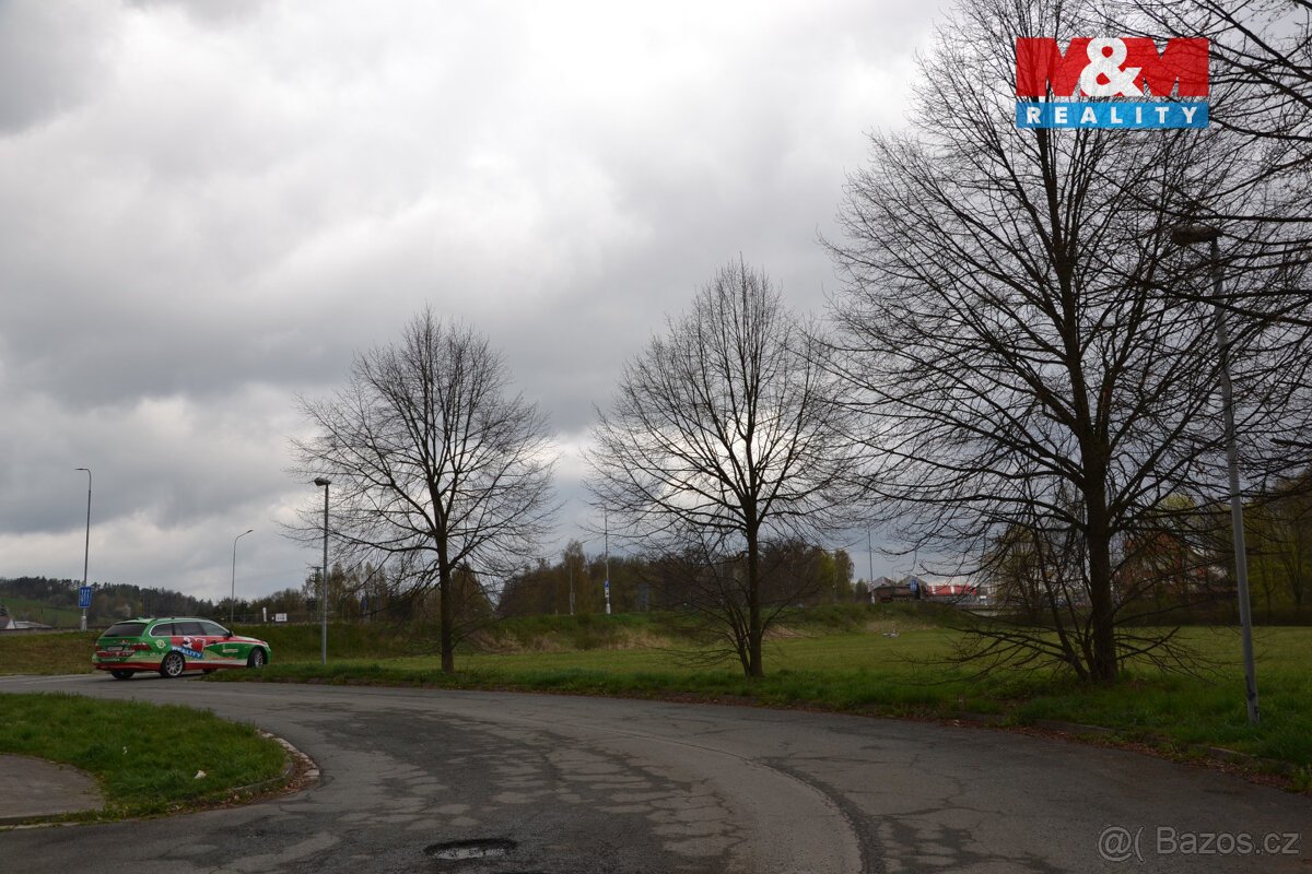 Prodej louky, 20 495 m², Běloves - Lázně, Náchod