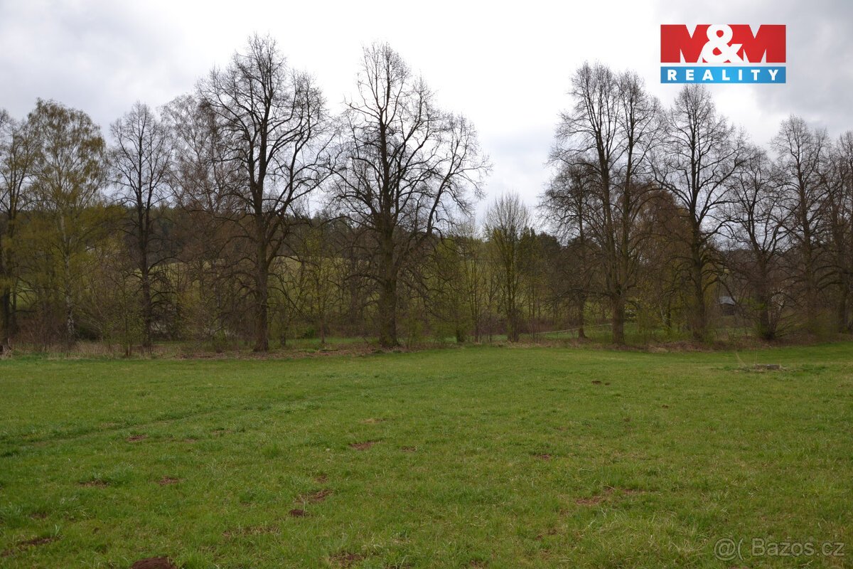 Prodej louky, 20 495 m², Běloves - Lázně, Náchod