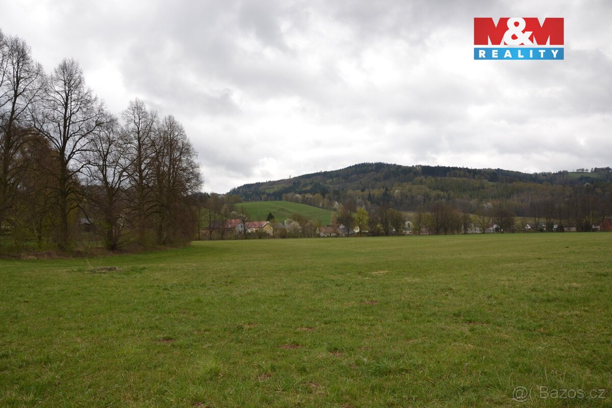 Prodej louky, 20 495 m², Běloves - Lázně, Náchod