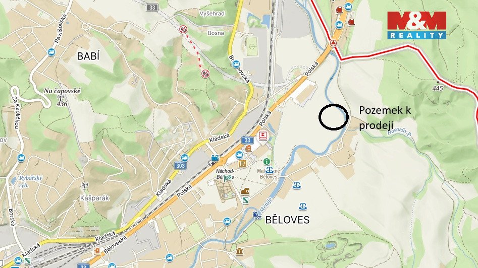 Prodej louky, 20 495 m², Běloves - Lázně, Náchod