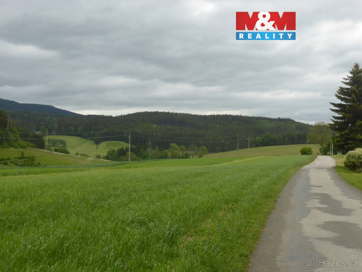 Prodej lesních pozemků a louky, 26 000 m², Hronov