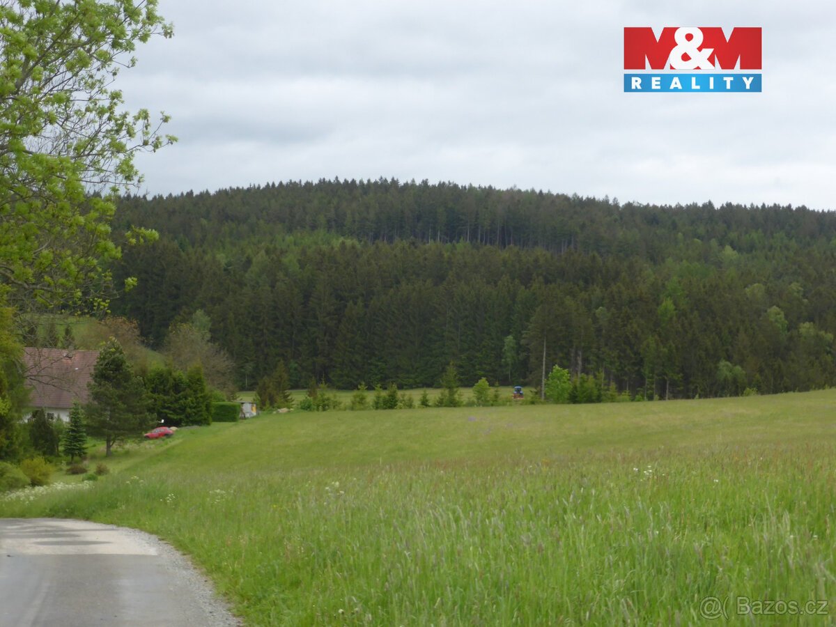 Prodej lesních pozemků a louky, 26 000 m², Hronov