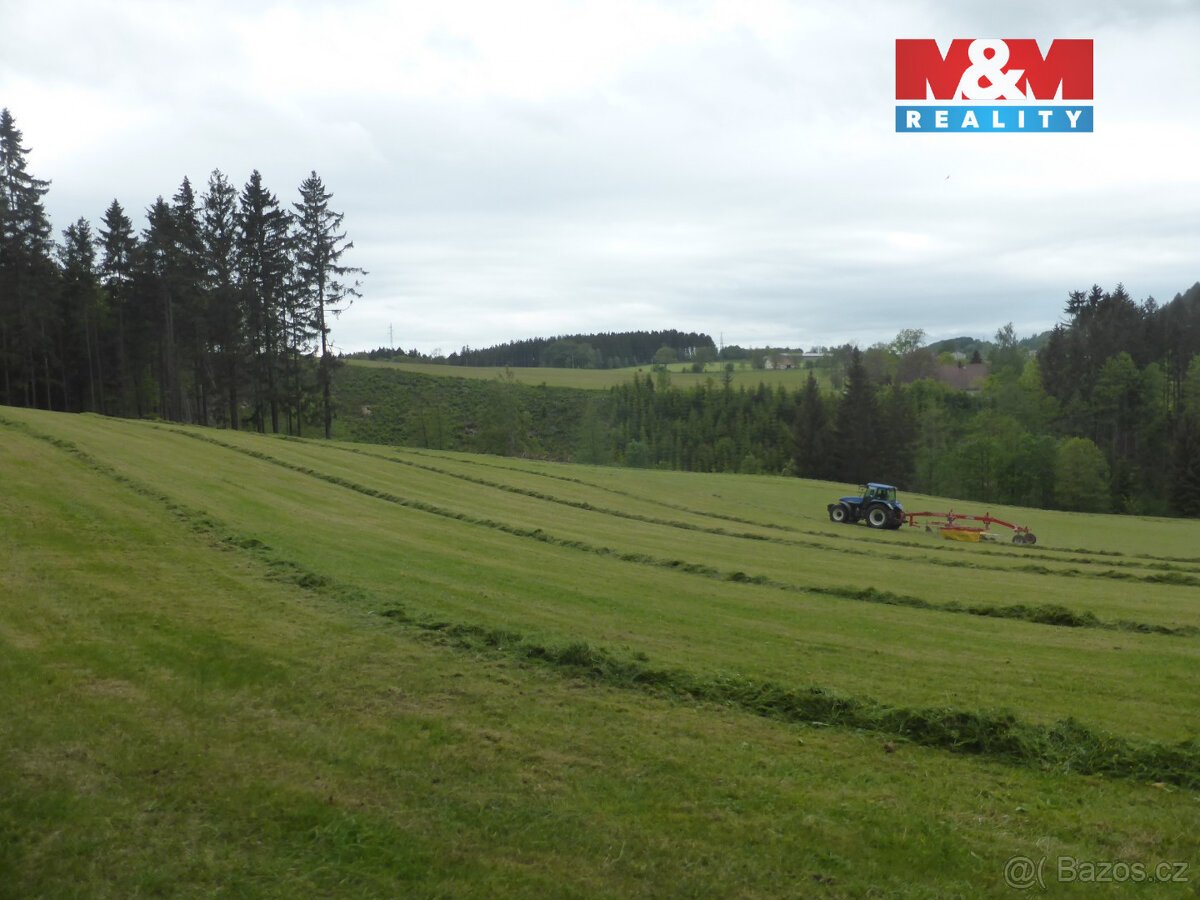 Prodej lesních pozemků a louky, 26 000 m², Hronov