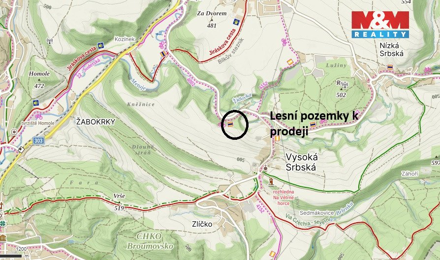 Prodej lesních pozemků a louky, 26 000 m², Hronov