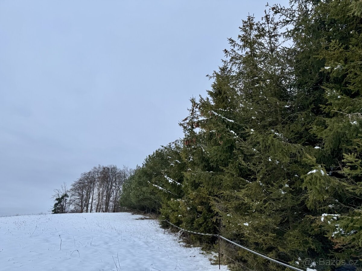 Prodej, pozemek, 15 172 m,  77, Zábřeh - Václavov, Česko