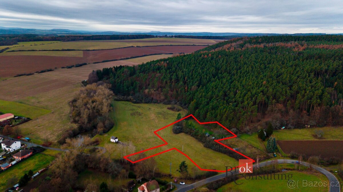 Prodej, pozemky/bydlení, 7000 m2, Babina , Plasy, Plzeň-seve
