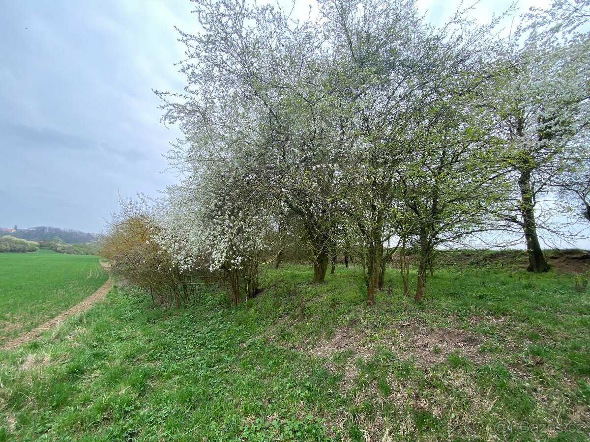 Pozemek ostatní plocha Brocno (Štětí)