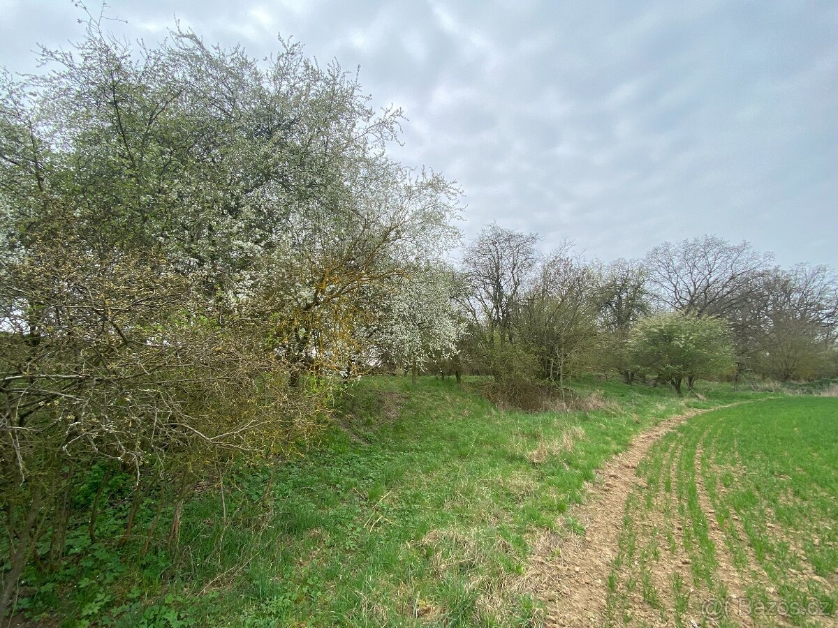 Pozemek ostatní plocha Brocno (Štětí)