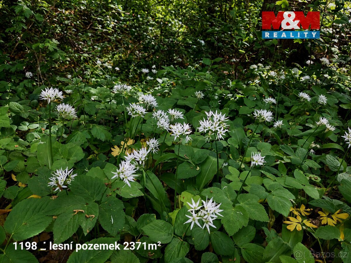 Prodej pozemků 151762 m², Pňov-Předhradí