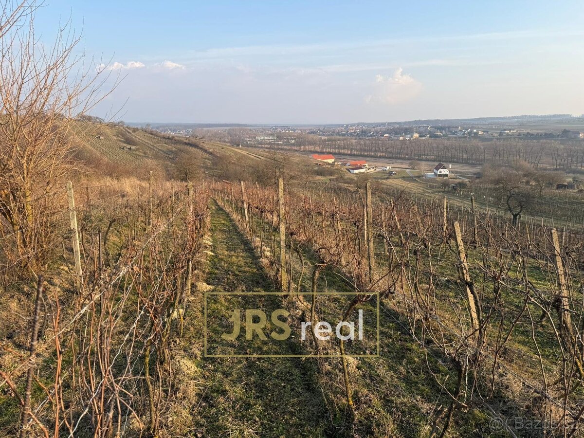 Prodej vinice 2 669 m², Mutěnice, ev.č. 130093JV