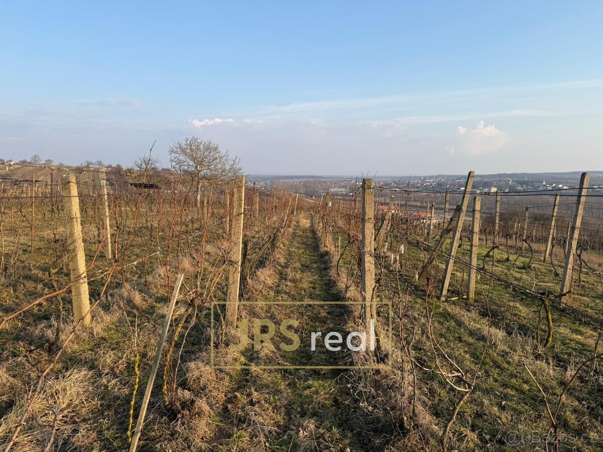 Prodej vinice 2 669 m², Mutěnice, ev.č. 130093JV