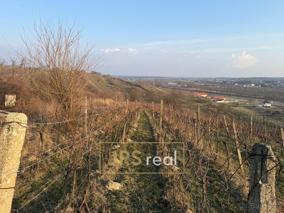 Prodej vinice 2 669 m², Mutěnice, ev.č. 130093JV