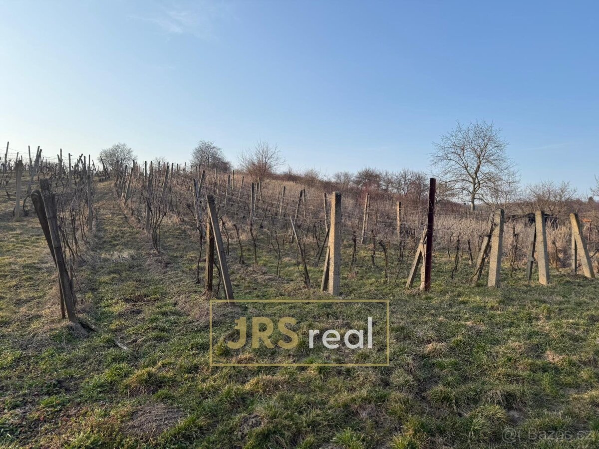 Prodej vinice 2 669 m², Mutěnice, ev.č. 130093JV