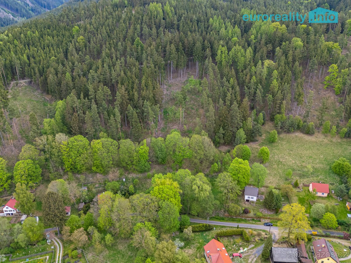 Prodej pozemku 1330 m², Podlesí (Dolní Žandov), okres Cheb