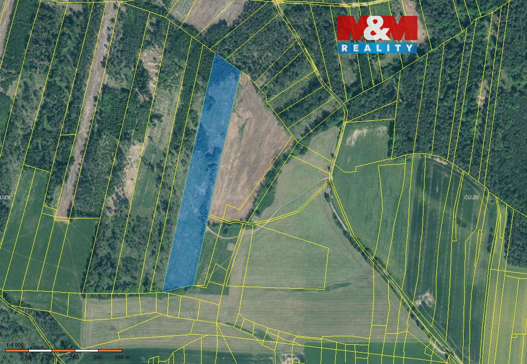 Prodej lesa, 31088 m², Jetětice