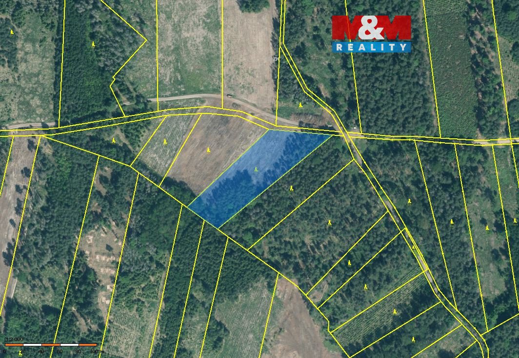 Prodej lesa, 15115 m², Jetětice