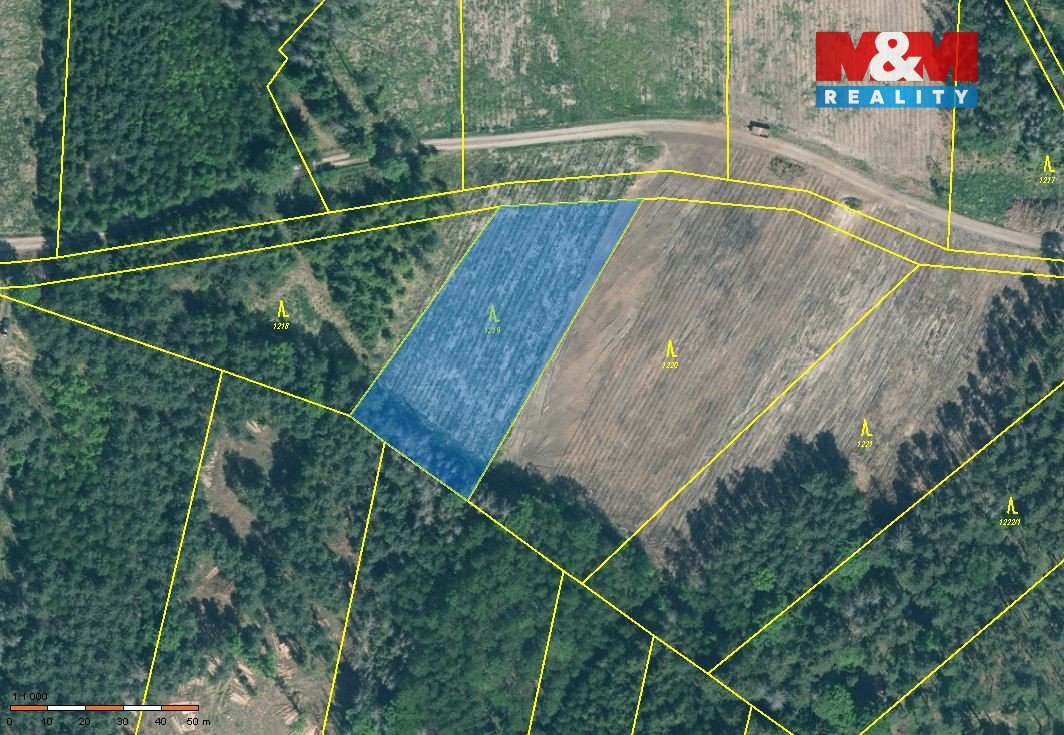 Prodej lesa, 15115 m², Jetětice