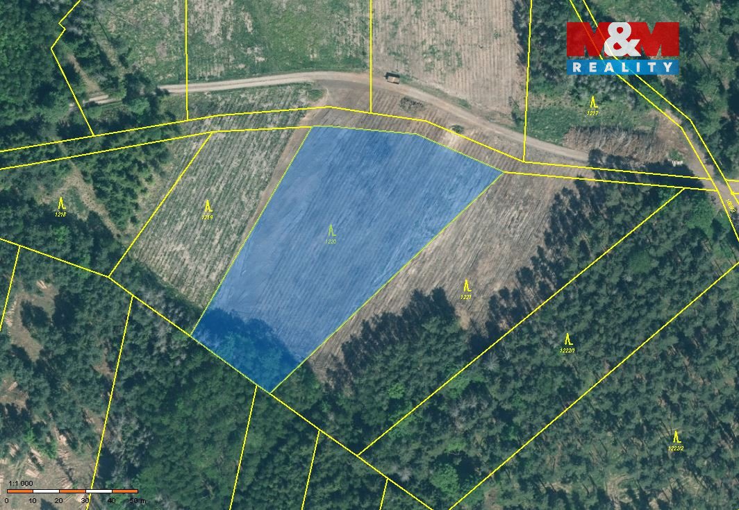 Prodej lesa, 15115 m², Jetětice