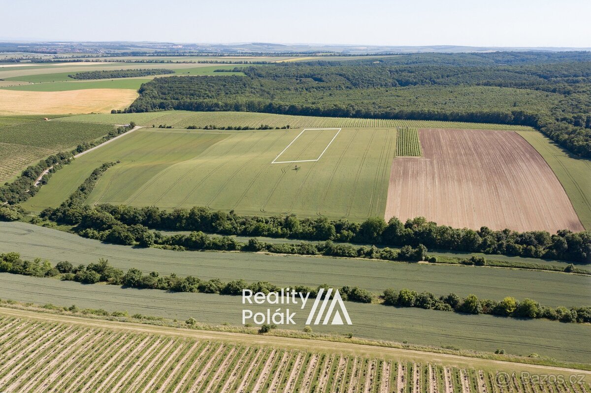 Prodej orná půda, 7380 m² - Bulhary, ev.č. 25PP103