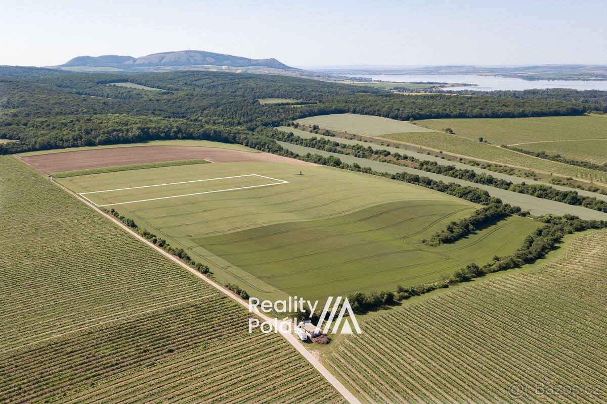 Prodej orná půda, 7380 m² - Bulhary, ev.č. 25PP103