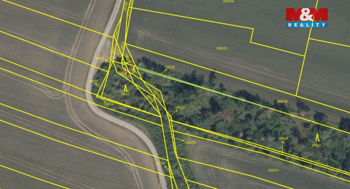 Prodej lesa, 4769 m², Sadská