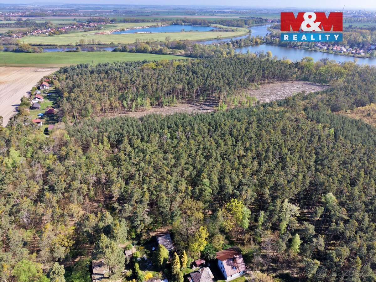 Prodej lesa, 4769 m², Sadská