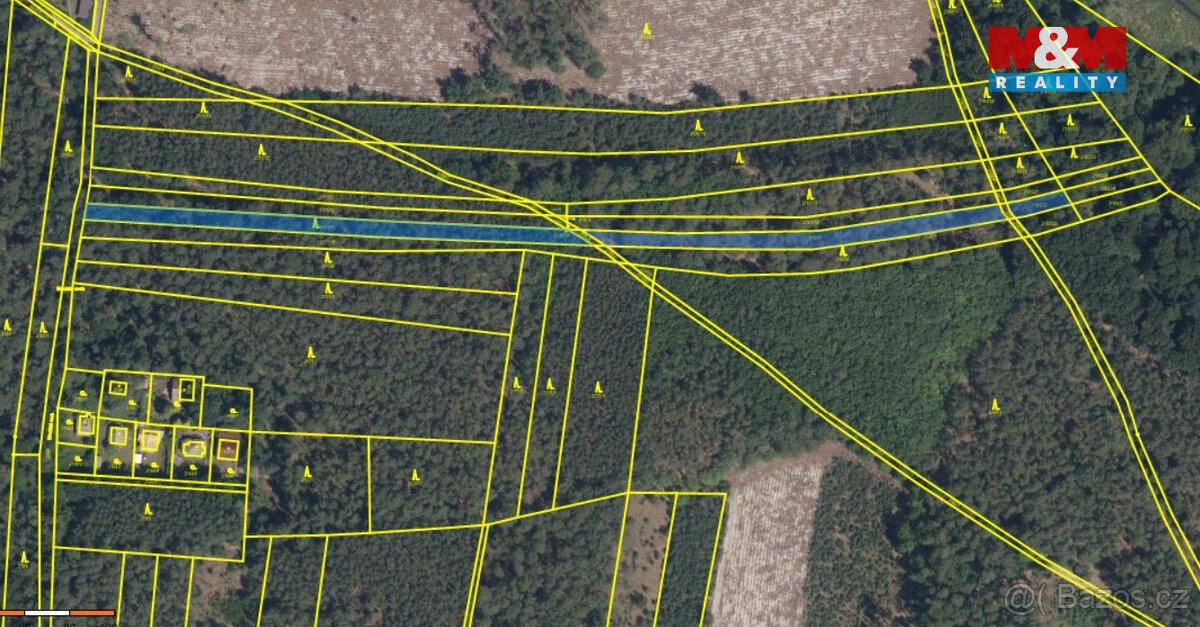 Prodej lesa, 4769 m², Sadská